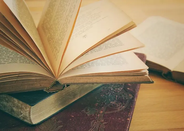 Eco Wellness Notre Maison מלון קונייה